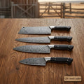 4-Piece Handmade Damascus Steel Kitchen Knife Set with Pakka Wood Handles
