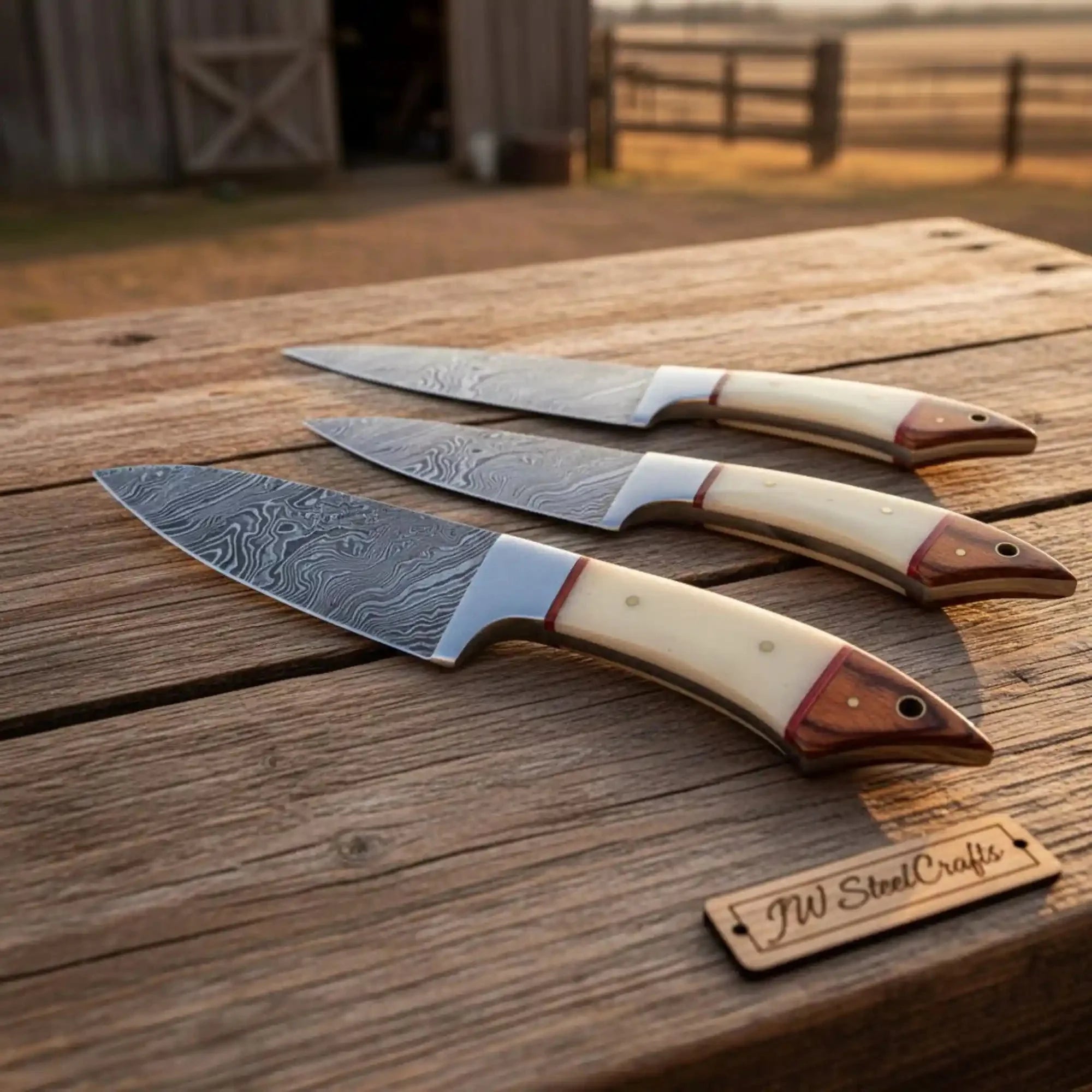 Handmade Damascus Steel Kitchen Knife Set with Bone and Wood Handles